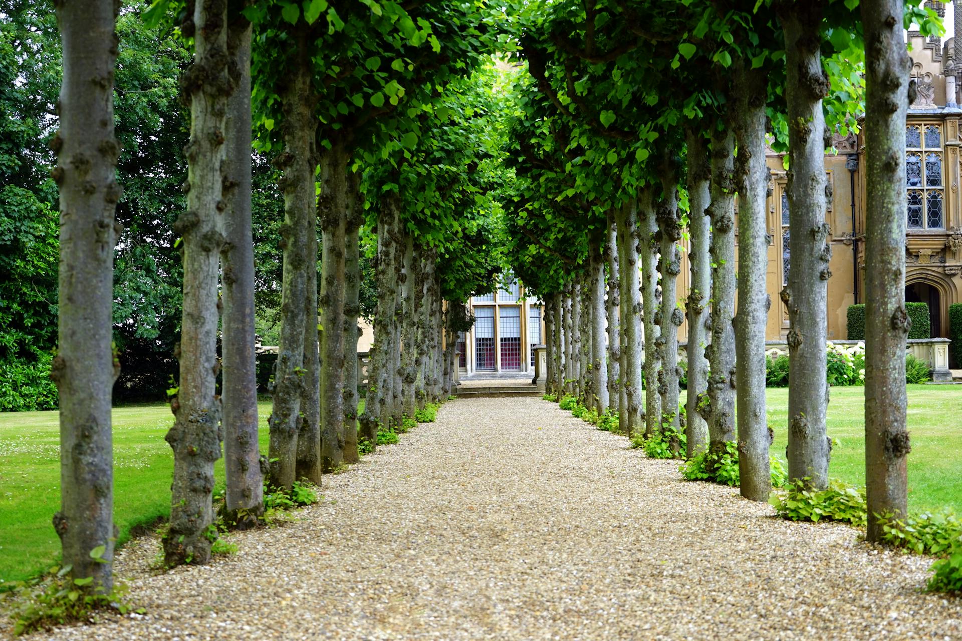 Comprendre le Jardin Non Attenant : Ce Que Cela Veut Dire